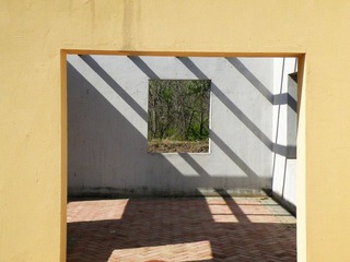 conew_dscf8309