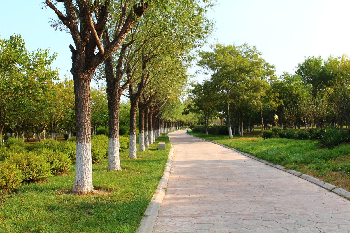 公园里的步行道! - robert¹capa