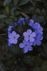 052474D2-FB3D-435A-88D1-D98464375695/L0/001