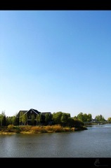 IMG_6839.jpg