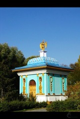 IMG_6850.jpg