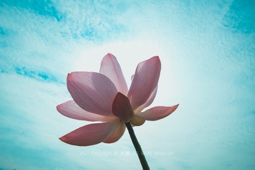 110206