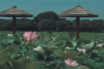 110215