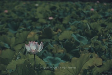 110218
