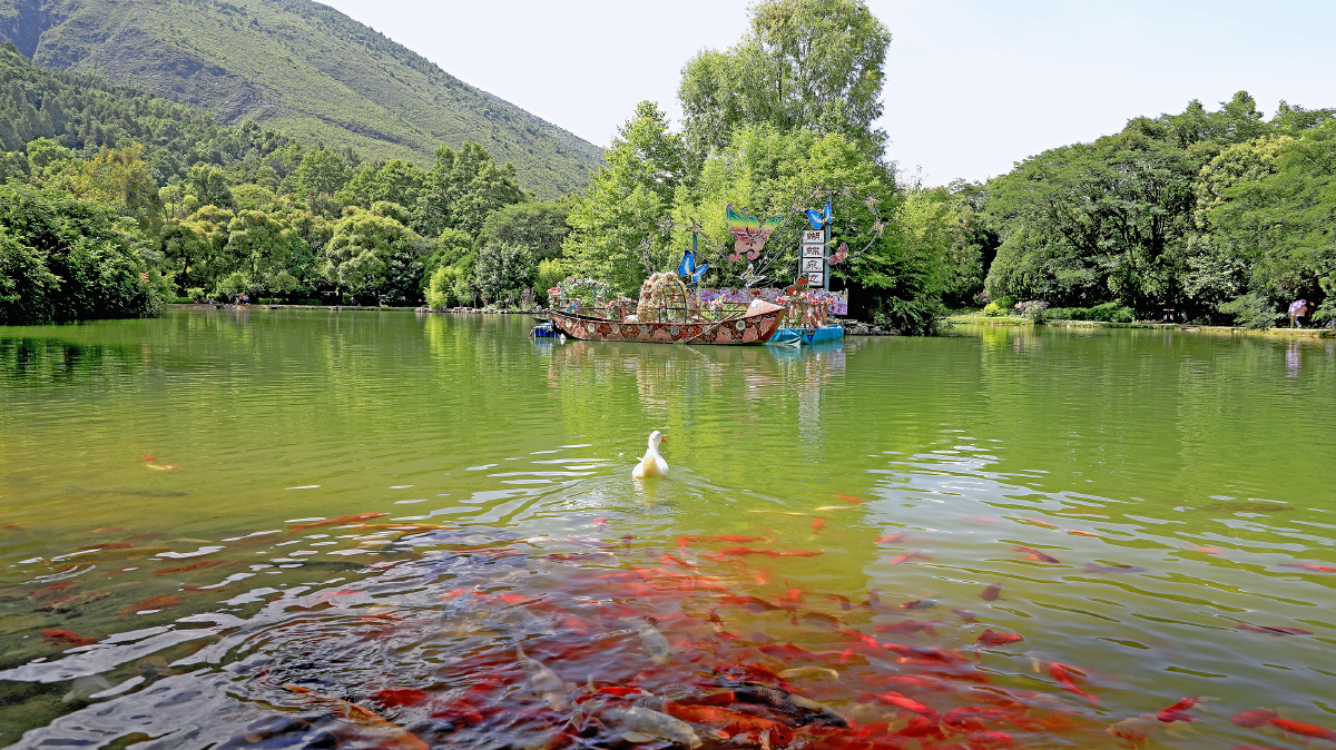 蝴蝶泉边 - 灵墟山人 - 图虫网 - 优质摄影师交流社区