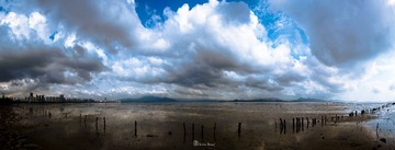 深圳湾