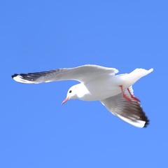 344169