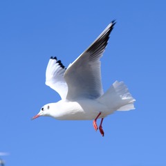 344128