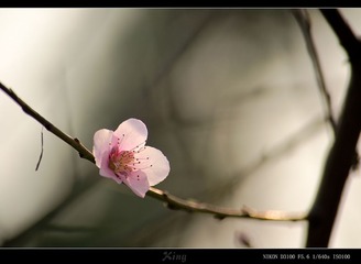 02141