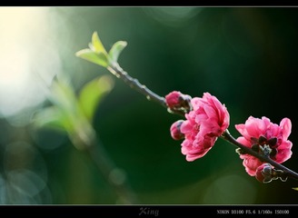 02143