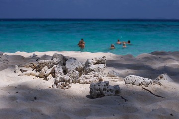banboo island 寂寞和喧闹