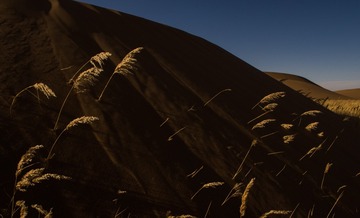 P3050268-2