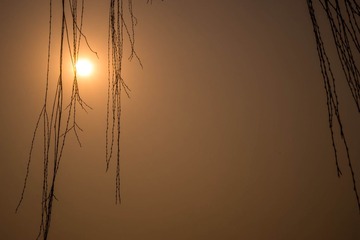 DSC05250[1]