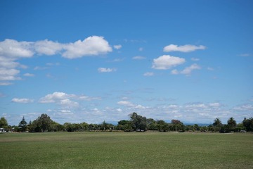 DSC04435[1]