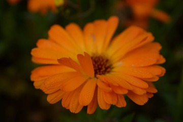 053