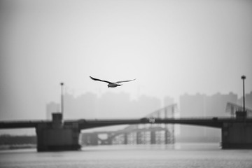 IMG_2826-1