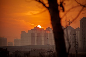 IMG_1646-1