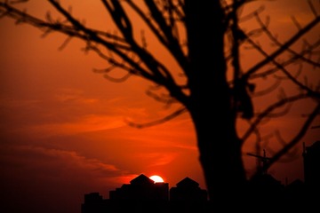IMG_1651-1