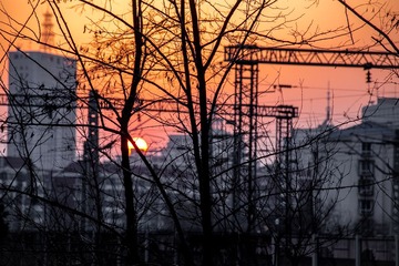 IMG_5445-1