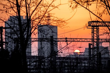 IMG_5448-1