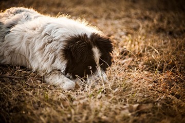 IMG_5761-1