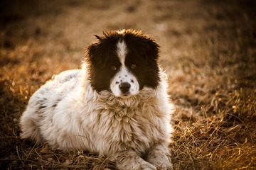 IMG_5763-1