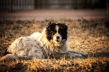 IMG_5802-1