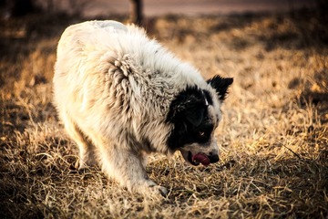 IMG_5813-1