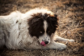 IMG_5859-1