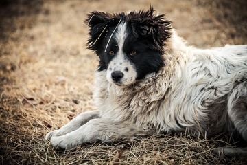 IMG_5891-1