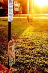 IMG_12271234.jpg