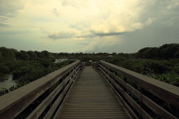 IMG_1240.JPG