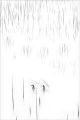 赶海去 Go fishing