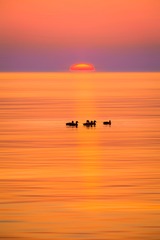 日落时分 Sunset time