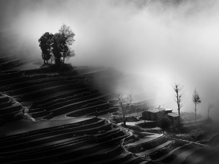 雾乡人家 Fog township household
