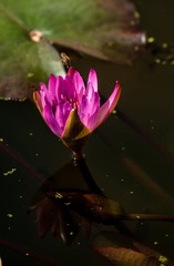 _7004970-800