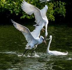 _DSC2369-600