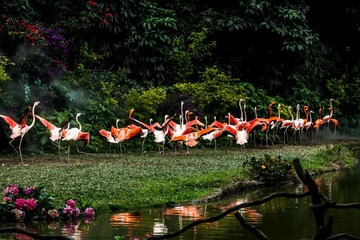 _DSC0708-800