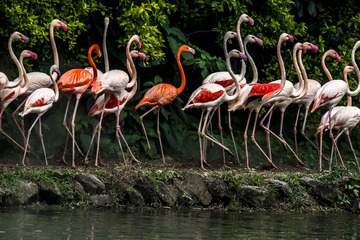 _DSC0758-800