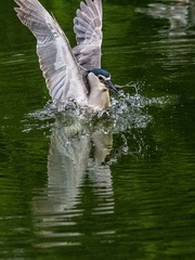 _DSC2353-800
