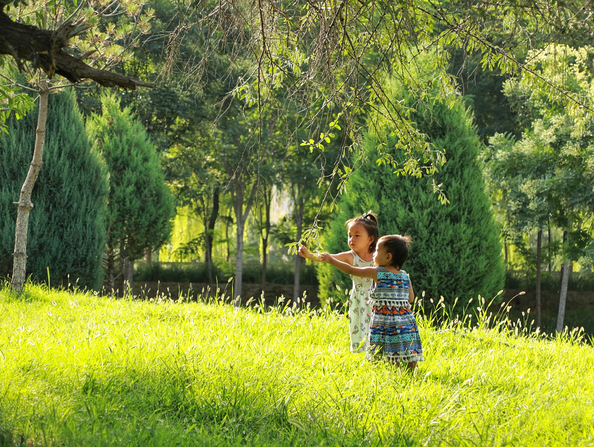 清早宝宝们来到公园 在草坪上玩耍 逆光下的身影看起来非常