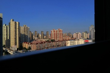 DPP_3124