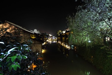 IMG_0299_x