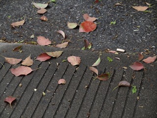 IMG_5645_