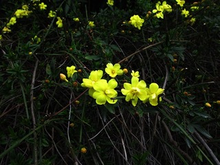 IMG_5908_