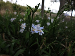 IMG_5910_