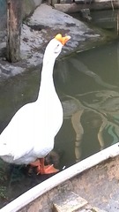 20860_8807816