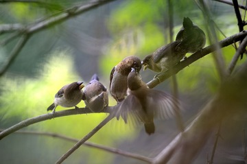 _DSC0621a__DSC0621aa