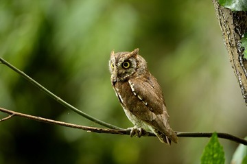 _DSC1073a__DSC1073aa