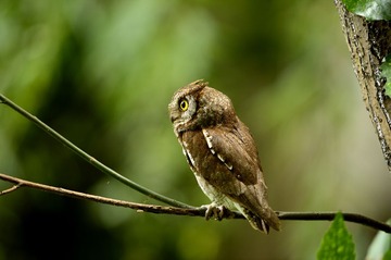 _DSC1077a__DSC1077aa